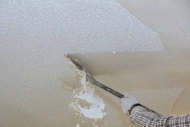 Popcorn Celling Removal